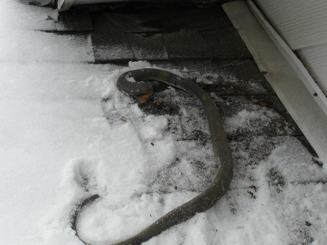 Rubber Snake nailed to the roof next to the dormer