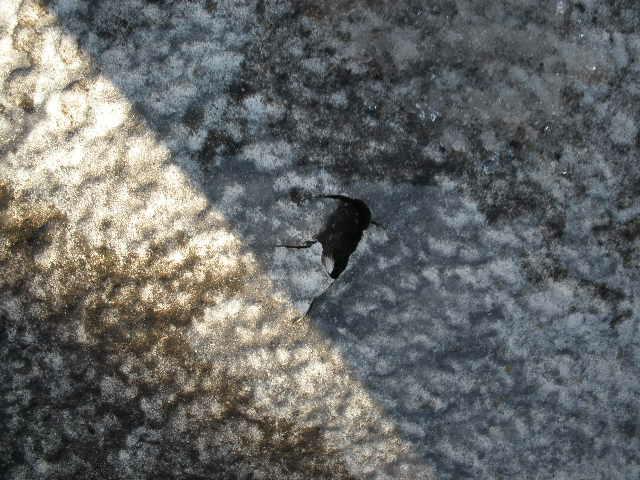 Hole in poly roof