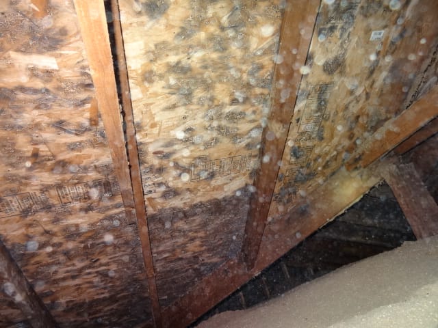 Picture of roof sheeting covered in mold due to poor attic ventilation